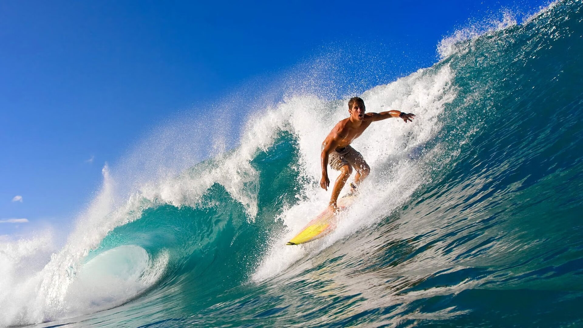 逆风而行:那些用信念书写奇迹的球队,写逆风前行的名言